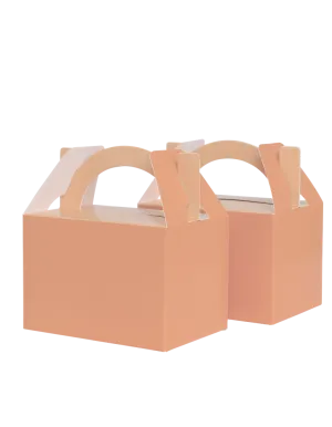 Little Lunch Favour Box Classic Pastel Peach - Pack of 10