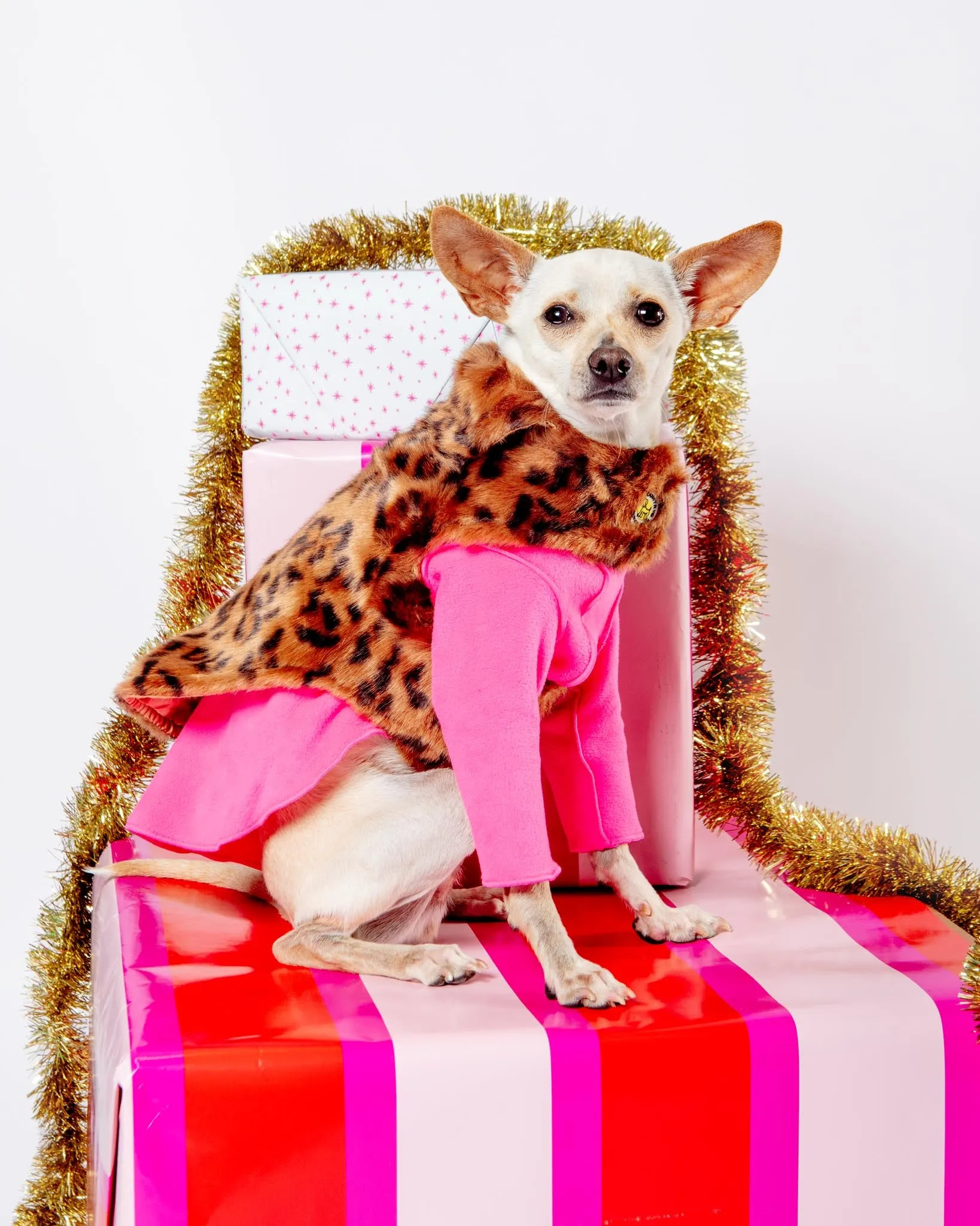 Luxe Leopard Faux Fur Dog Jacket